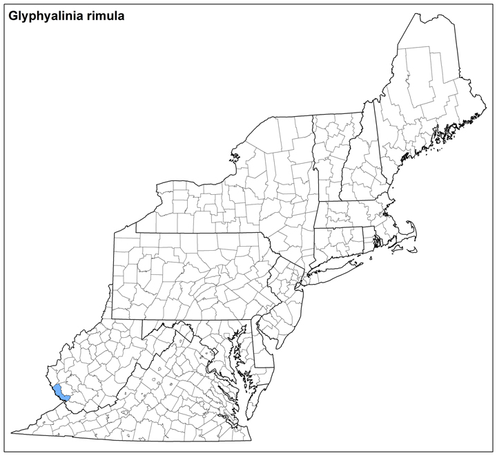 Glyphyalinia rimula Range Map
